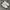 adidas bw army original photo 2