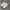 adidas bw army original photo 1