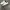 adidas bw army photo 2