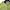 Columbia Gorpcore Windbreaker Pria green photo 3