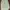 Avant Garde Track jacket Pria cream photo 1