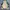 Pokemon Snorlax, soft Toys & Collectibles item photo 1