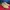 TIMBERLAND CLASSIC SHOES photo 1