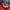 SAUCONY ENDORPHIN PRO 4 OLIVE GREEN photo 1