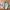 MASTER Worldwide Patch Work Jacket photo 1