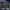 Uniqlo x Ai Yazawa gray T-shirt photo 1