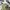 Kemeja deus fullprrint motorchycles  uk L photo 3