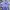 Champion Streetwear Sweater Pria Purple