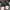 Nike Air Jordan 1 Low photo 4