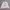 Flash Report Track Jacket photo 2