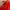 Red Bondage Belted Shorts (25) photo 8