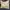 Fossil Casual Reworked Tote bag Wanita tan khaki photo 1