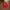 Umbro 00s Track Jacket red photo 1