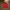 Umbro 00s Track Jacket red photo 2