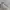 New Balance Y2K Minimalist Sneakers Pria white photo 1