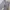 Back Number Transcript Of Military Record Cargo Stripe photo 4