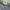 Back Number Transcript Of Military Record Cargo Stripe photo 6