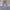 Back Number Transcript Of Military Record Cargo Stripe photo 1