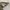 Coach Casual Handbag Wanita white tan photo 3