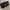 Coach Casual Handbag Wanita black photo 1