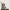 Dr. Martens Streetwear Casual Boots Wanita gold photo 6