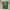 Vintage Y2K T-shirt Pria white green photo 3