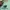 New Balance Streetwear Sweatshirt Pria green photo 3