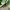 New Balance Streetwear Sweatshirt Pria Green