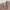Dress Knit Nude Press Body Woman 