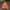 Luxury Bomber jacket Pria multicolor photo 5