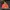 Luxury Bomber jacket Pria multicolor photo 4
