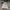 Luxury Bomber jacket Pria multicolor photo 1