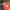 Luxury Bomber jacket Pria multicolor photo 6