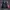 Biker Windbreaker Pria red black photo 6