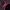 Biker Windbreaker Pria red black photo 5