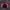 Biker Windbreaker Pria red black photo 1