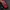 Biker Windbreaker Pria red black photo 4