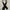 Canvas black belt photo 1