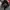 American Eagle Casual Puffer jacket Pria gray photo 4