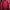 Adidas Streetwear Casual Windbreaker Pria burgundy red photo 1