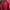 Adidas Streetwear Casual Windbreaker Pria Burgundy Red