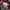 Adidas Streetwear Casual Windbreaker Pria burgundy red photo 6