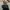 Mini Black Sophie Martin Belt Bag photo 4