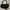 Mini Black Sophie Martin Belt Bag photo 2