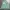 Montbell Streetwear Gorpcore Fleece Pria green photo 8