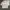 Oakley Streetwear Gorpcore Windbreaker Pria cream photo 4