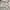 Oakley Streetwear Gorpcore Windbreaker Pria cream photo 5