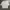 Oakley Streetwear Gorpcore Windbreaker Pria cream photo 2