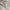Oakley Streetwear Gorpcore Windbreaker Pria cream photo 3