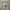 Visvim Streetwear Casual Casual pants Pria green photo 2